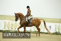 24R13_13179 thumbnail