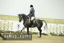 24R13_13181 thumbnail