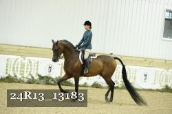 24R13_13183 thumbnail