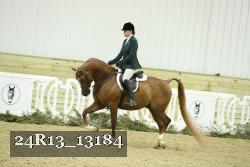 24R13_13184 thumbnail