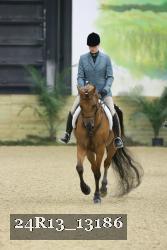24R13_13186 thumbnail
