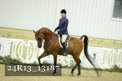 24R13_13187 thumbnail