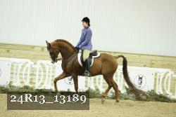 24R13_13189 thumbnail