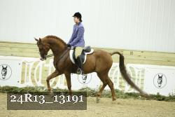 24R13_13191 thumbnail