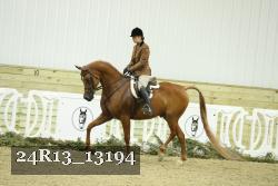 24R13_13194 thumbnail