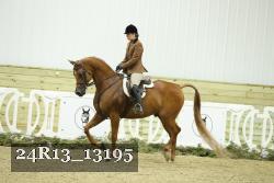 24R13_13195 thumbnail