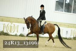 24R13_13196 thumbnail