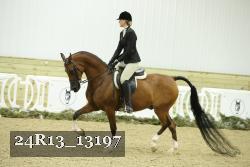 24R13_13197 thumbnail