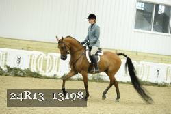 24R13_13198 thumbnail