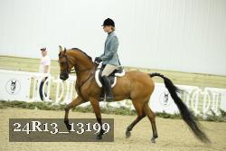 24R13_13199 thumbnail