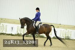 24R13_13201 thumbnail
