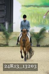 24R13_13203 thumbnail