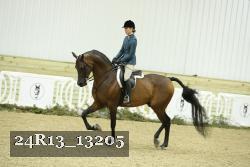 24R13_13205 thumbnail