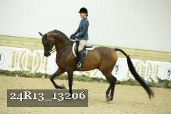 24R13_13206 thumbnail