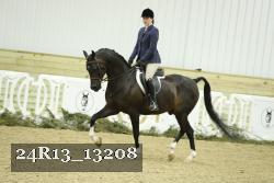 24R13_13208 thumbnail