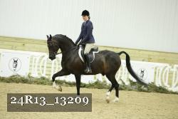 24R13_13209 thumbnail