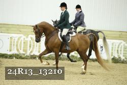 24R13_13210 thumbnail