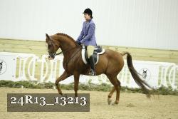 24R13_13213 thumbnail