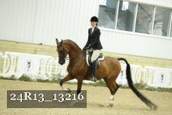 24R13_13216 thumbnail