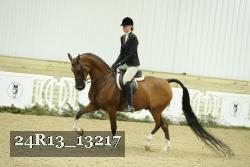 24R13_13217 thumbnail