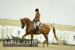 24R13_13218 thumbnail