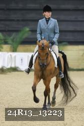 24R13_13223 thumbnail