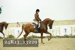 24R13_13229 thumbnail