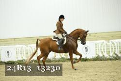 24R13_13230 thumbnail
