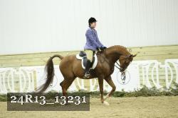 24R13_13231 thumbnail