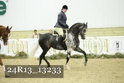 24R13_13233 thumbnail
