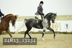 24R13_13234 thumbnail