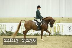 24R13_13236 thumbnail