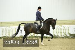 24R13_13238 thumbnail