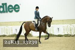 24R13_13239 thumbnail