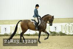24R13_13240 thumbnail