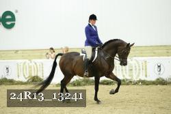 24R13_13241 thumbnail