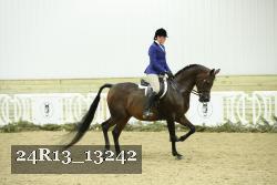 24R13_13242 thumbnail