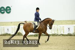 24R13_13243 thumbnail