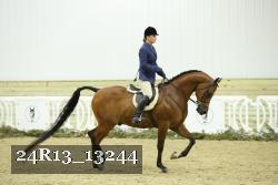 24R13_13244 thumbnail
