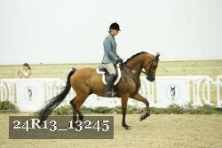 24R13_13245 thumbnail