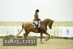 24R13_13251 thumbnail