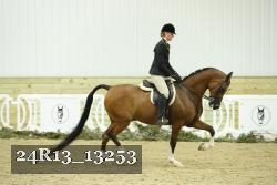 24R13_13253 thumbnail