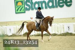24R13_13254 thumbnail