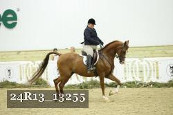 24R13_13255 thumbnail