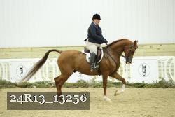 24R13_13256 thumbnail