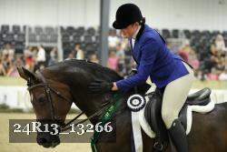 24R13_13266 thumbnail