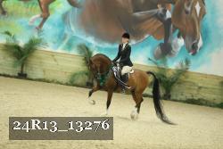 24R13_13276 thumbnail