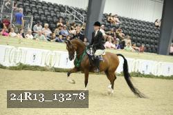 24R13_13278 thumbnail