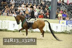 24R13_13281 thumbnail