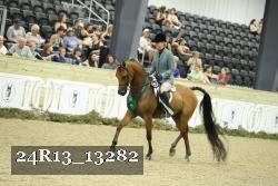 24R13_13282 thumbnail